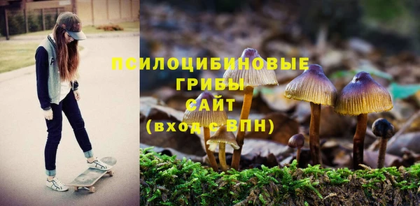 не бодяженный Дмитровск