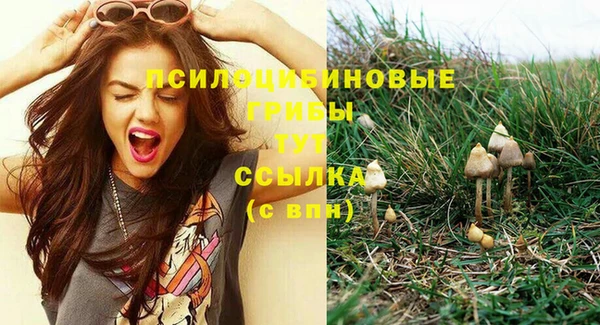 не бодяженный Дмитровск