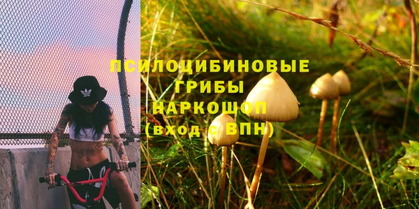 герыч Дмитриев