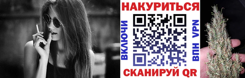 Купить закладки  Козельск  Марихуана сатива 